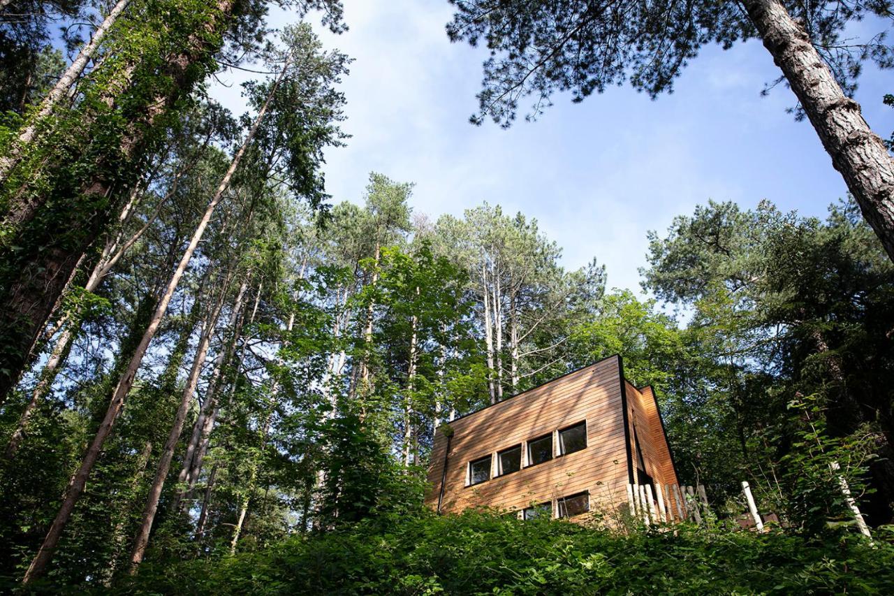 Bain De Foret - Lodges Cosy & Spa Neufchatel-Hardelot Ngoại thất bức ảnh