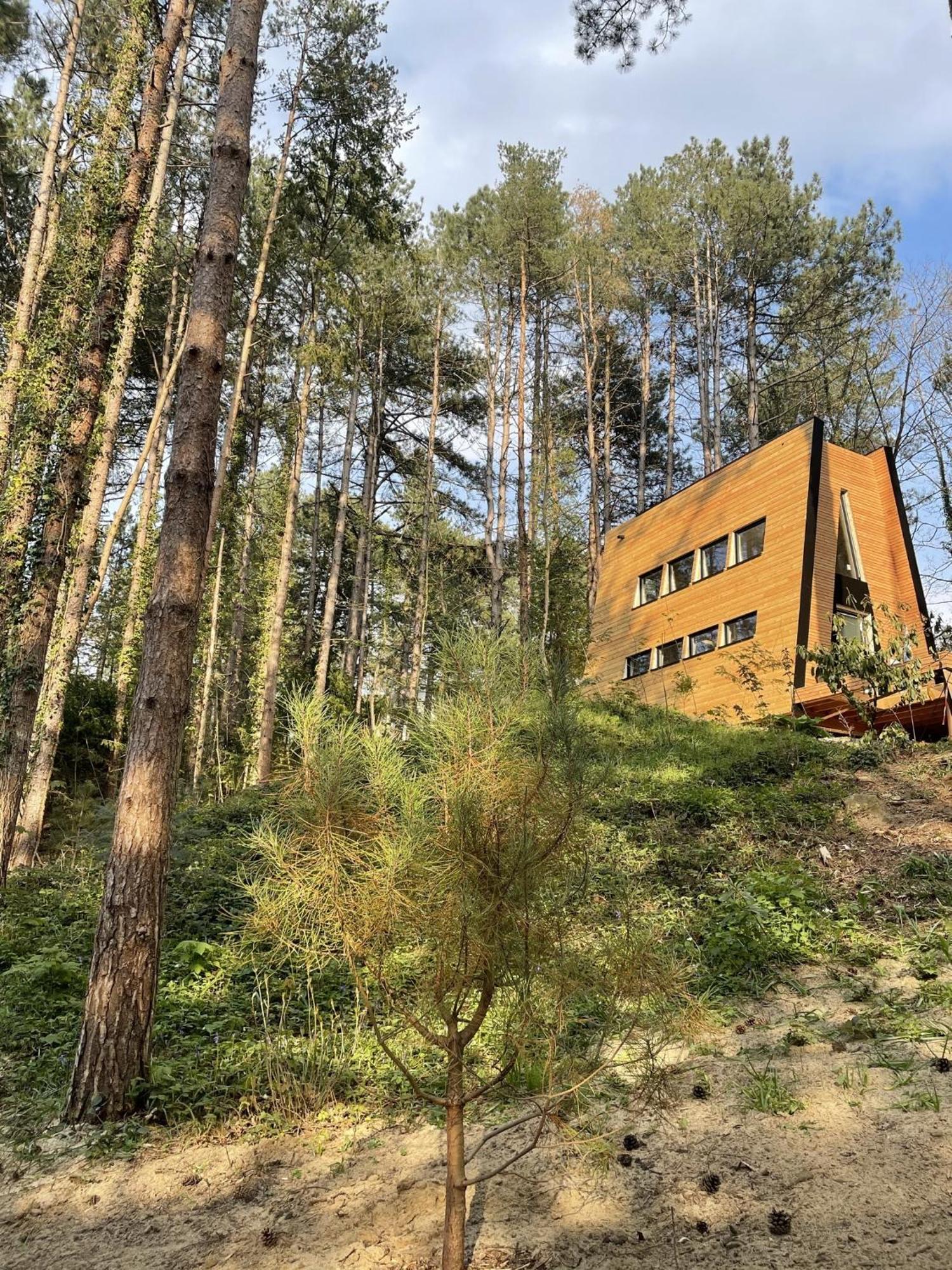 Bain De Foret - Lodges Cosy & Spa Neufchatel-Hardelot Phòng bức ảnh